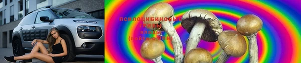 первитин Богородицк