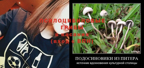 метадон Богородск