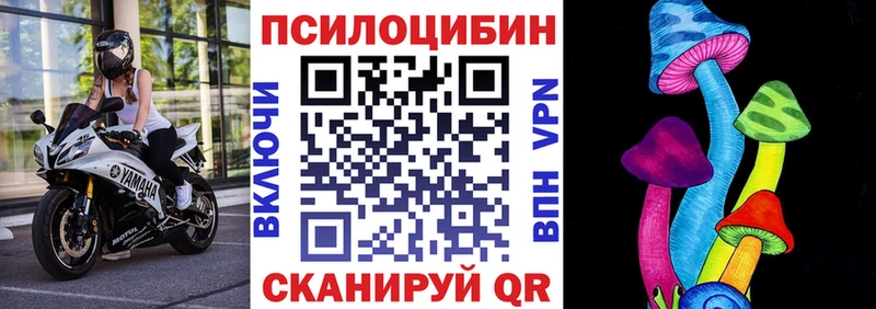 KRAKEN вход  Ворсма  Псилоцибиновые грибы прущие грибы 